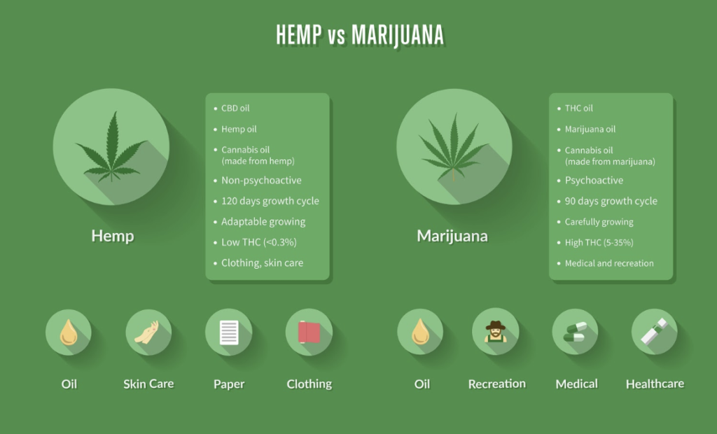 marijuana infographic 