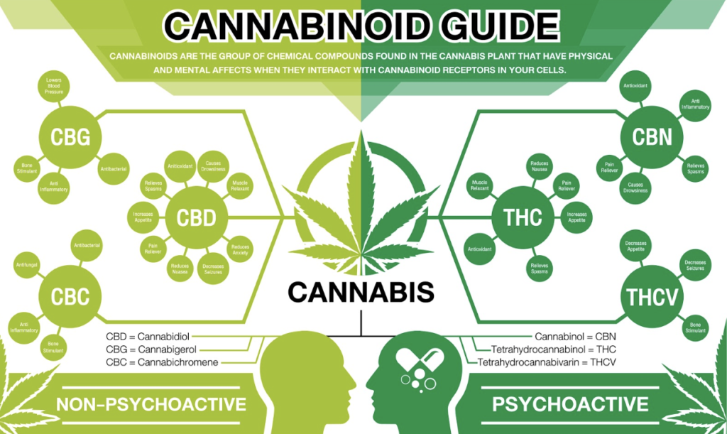Cannabis Infographic
